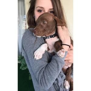 Meet your Posher, Kimberly